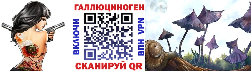 Купить закладки  Сычёвка  Псилоцибиновые грибы ЛСД 